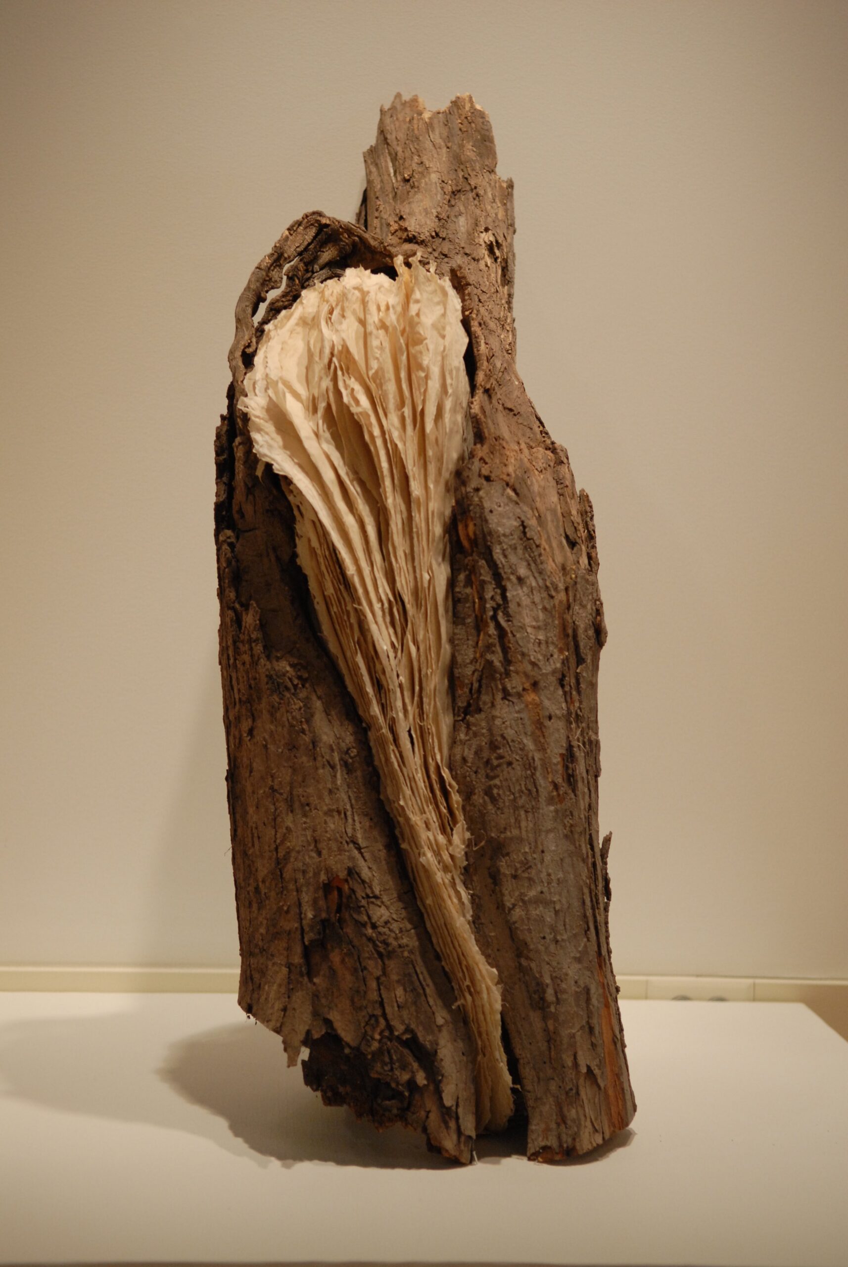 handmade paper, flax, wood, artist book, book sculpture